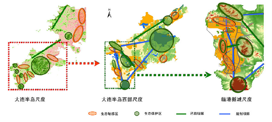 多尺度生态格局分解