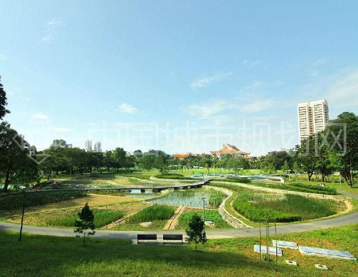 11 水体日均净化量达到86万立方 8,640,000 Liters of Pond Water Cleansed Daily.jpg